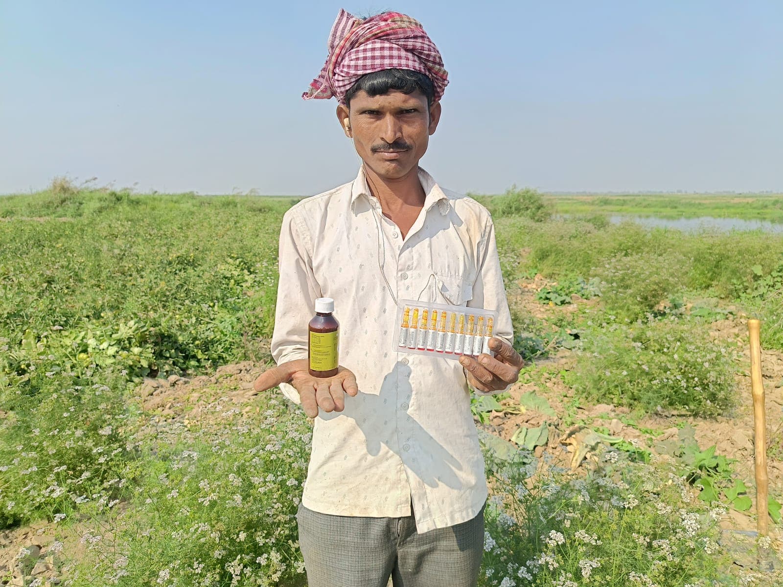 Sustainable agriculture practices