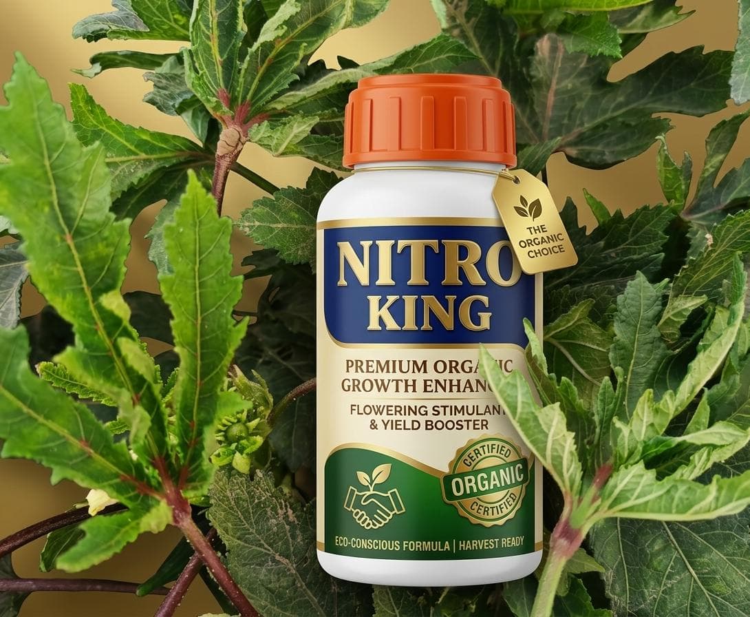 Nitro King